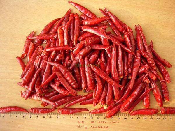 Stemless red chili